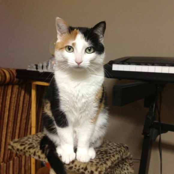 ❤️’s to wear 👠 & nylons 😉 - Picture 1 of 1